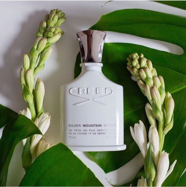 Perfume Creed Silver Mountain Water EDP