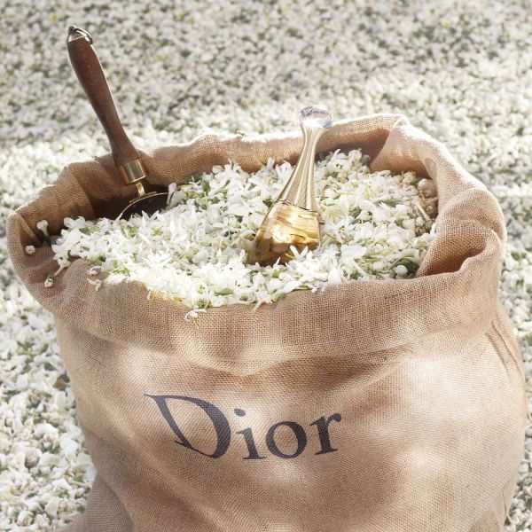 Perfume Dior J'adore EDP