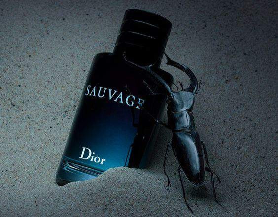 Perfume Dior Sauvage EDP