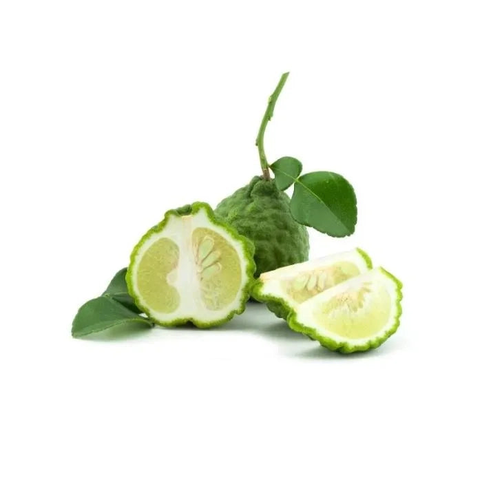 Xerjoff Erba Pura EDP